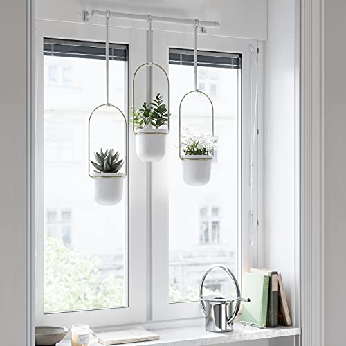 Umbra Triflora Hanging Planter for Window, Indoor Herb Garden, Set of 5, Black