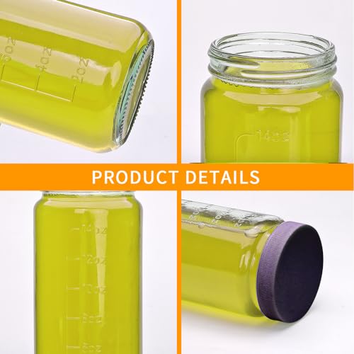Salzesfalls 16oz Glass Juice Bottles with Lids,Reusable Juice Bottles,Glass Bottles for Juicing,Milk Tea,Smoothies,Ice Tea,Beverages Bottles,Set of 12