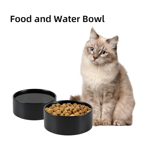 Havniva Ceramic Raised Dog and Cat Bowl Set, 2 Heights Elevated Stand, Food and Water Bowl for Small Breed Dogs, Weighted Dog Dishes, Pet Bowl(6.1'',28.7oz, White)