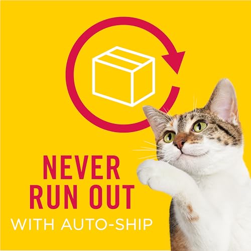 Purina Friskies Extra Gravy Wet Cat Food Chunky With Turkey in Savory Gravy - (Pack of 24) 5.5 oz. Cans