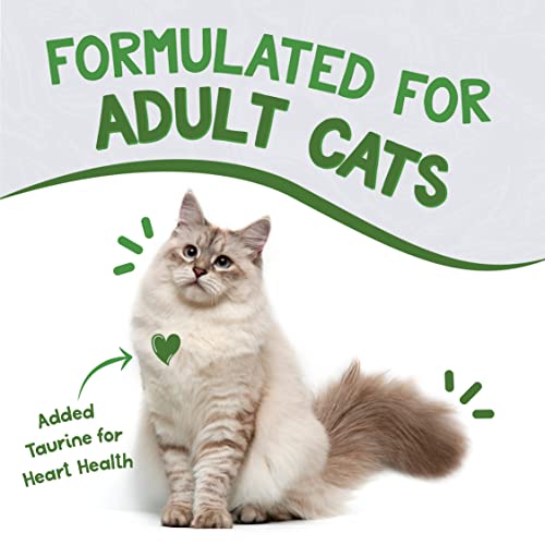 Earthborn Holistic Chicken Catcciatori Chicken Dinner in Gravy Grain-Free Wet Food for Adult Cats (3 oz. Cans, Pack of 24)