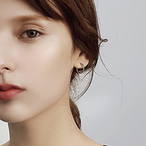 10 Pairs Silver Hoop Earrings for Women Small Stainless Steel Hypoallergenic Earrings Set Mens Unisex Nickel Free 10MM-18MM
