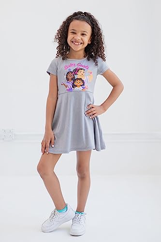 Disney Encanto Isabela Luisa Mirabel Little Girls Skater Dresses and Scrunchie Gray/Pink 4