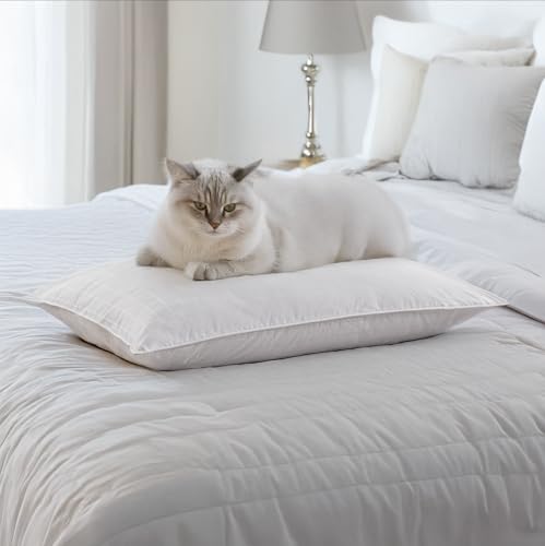Sobel Westex Sobella Bed Pillow for Sleeping | Side Sleeper Pillow for Adults | 300TC, 100% Cotton Case | Soft, Machine Washable Hotel Quality Pillow | Standard Pillow 20 X 26