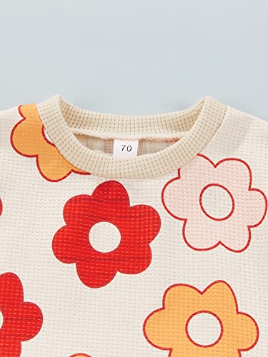 Baby Girls Outfit Set Summer Flower Printing Short Sleeve T-Shirt Tops + Elastic Waist Shorts Set (Floral White, 0-3 Months)