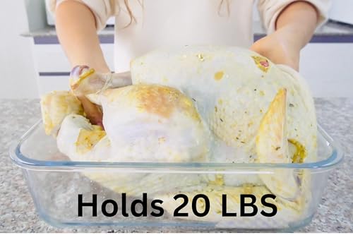 4800 ML / 163 oz / 21 Cup LARGE Glass Food Storage Container with Airtight Locking Lid. Ideal Storing food, Vegetables, Fruits. Baking Casserole, Lasagna, Roasting Turkey, Chicken BPA Free Oven Safe