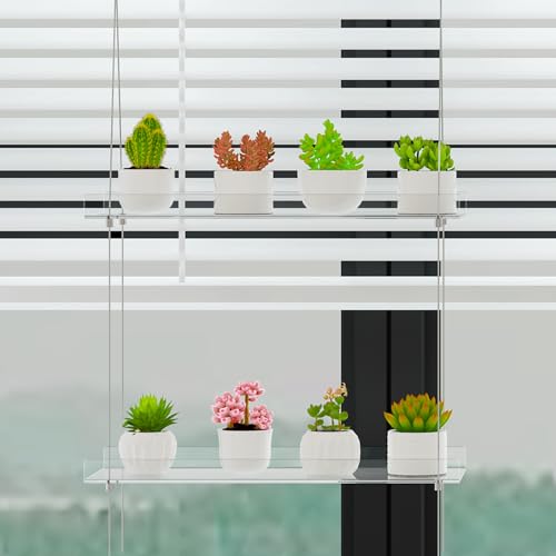 airogym 2-Tier Acrylic Plant Shelves for Window of Kitchen, 16 Inch Window Wall Clear Hanging Plant Stand, Height Adjustable Hanging Shelves for Indoor Window Plants, Succulents Flower Pots Organizer