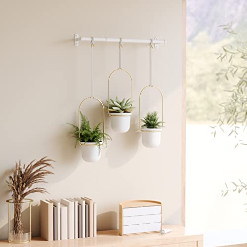 Umbra Triflora Hanging Planter for Window, Indoor Herb Garden, Set of 3, White/Brass