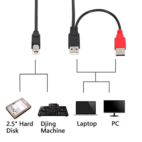 CERRXIAN Dual USB Type A 2.0 Male to USB B Data Y Cable for Printer, Scanner,External Hard Disk Drive,Dj Controller (0.8m Black)