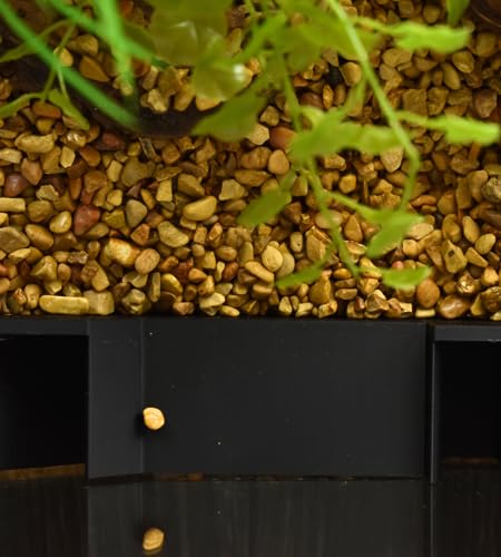 Chatelet Aquarium Underground Tunnel | Fish & Shrimp Hideout for Aquariums | Unique Underground Viewing Tunnel | Made in USA (Black)