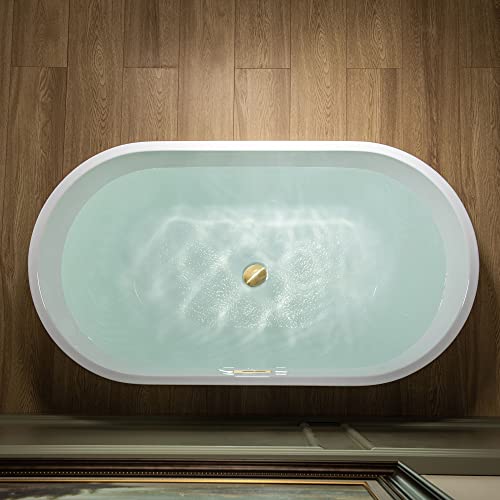WOODBRIDGE 48" Acrylic Freestanding Bathtub Contemporary Soaking Tub, White Acrylic(Brushed Golden Drain/Overflow),BTA1703-BG-Drain&O