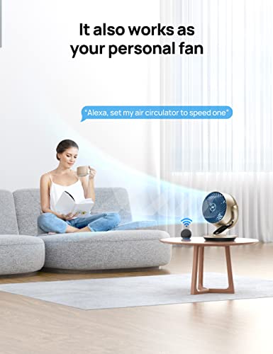 Dreo Smart Desk Fan for Bedroom, 13" Powerful 70 ft Whole Room Air Circulator Fan, 120°+90° oscillating fans with Voice Control, 4 Speeds, 5 Modes, 12H Timer Portable Table Fan for Office, Home