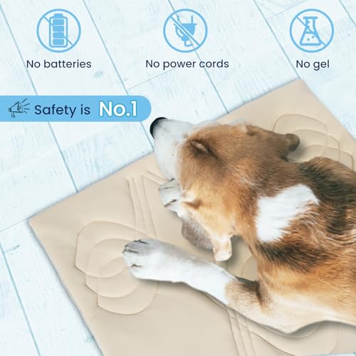 Thirdream Dog Crate Mat, Soft Dog Kennel Pad for Small Dog Sleeping, 36" x 23"x1", Pet Puppy Cat Washable Pad for Cages Bed Kennels Sofa Floors Portable Beige Yellow