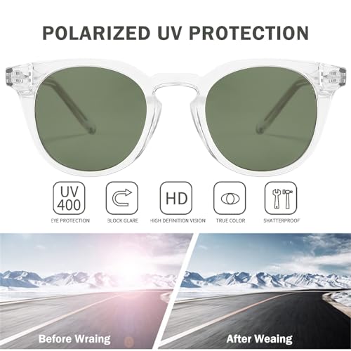 Dollger Polarized Round Sunglasses for Women Classic Retro Design Womens Trendy Style UV Protection Lens 2 Packs