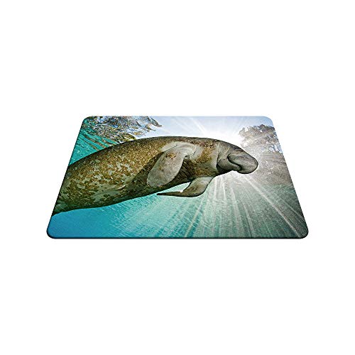 Nicokee Manatee Gaming Mousepad The Smile of Cute Manatee Mouse Pad Mouse Mat for Computer Desk Laptop Office 9.5 X 7.9 Inch Non-Slip Rubber