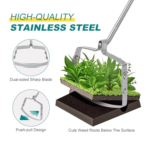 Berry&Bird Swoe Garden Hoe, 61.8'' Stainless Steel Long Handled 3 Edge Hoe with Wooden Hand, Mini Angled/Warren Hoe, Soil Cultivator Weeding Tool for Grass Flower Backyard