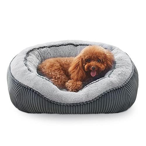 SIWA MARY Dog Beds for Small Medium Large Dogs & Cats. Washable Pet Bed, Orthopedic Dog Sofa Bed, Luxury Wide Side Fancy Design, Soft Calming Sleeping Warming Puppy Bed, Anti-Slip Bottom