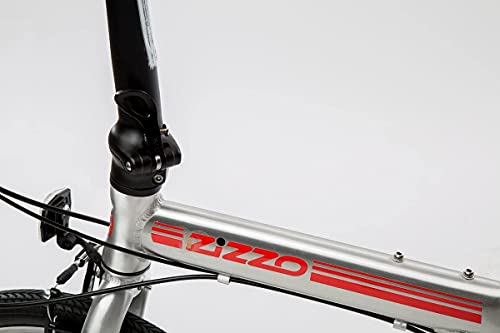 ZiZZO Liberte 23lb Lightweight Aluminum Alloy 20-Inch 8-Speed Folding Bicycle with Quick Release Wheels (Silver/Red)