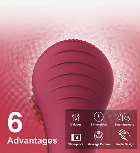 Face Scrubber, NågraCoola CLIE Facial Cleansing Brush, Waterproof and Rechargeable Face Scrub Brush for Men & Women, Cleansing, Exfoliating and Massaging, Electric Face Wash Brush - Berry