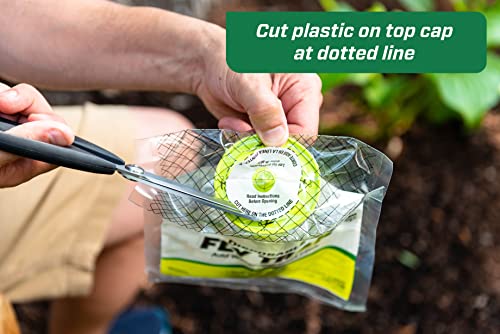 RESCUE! Outdoor Disposable Hanging Fly Trap - 2 Traps