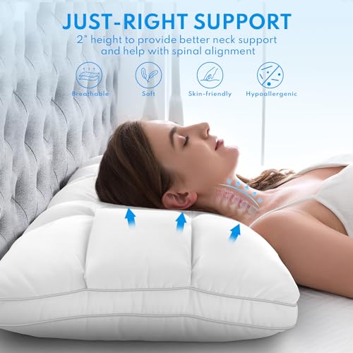 HEYCUZI Bed Pillows Queen Size Set of 2 - Luxury Hotel Soft Cloudy Comfort Pillows for Sleeping, Cooling Premium Down Alternative Pillow for Side, Stomach or Back Sleeper, Dual-Sided Versatile
