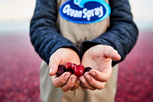 Ocean Spray® Cran-Tropical™ Cranberry Tropical Juice Drinks, 10 Fl Oz Bottles, 6 Count (Pack of 1)