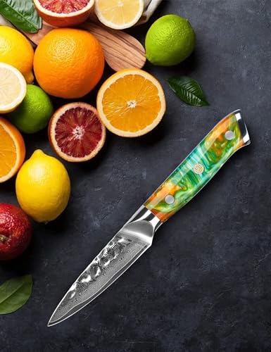 SANMUZUO 3.5 Inch Paring Knife - Fruit and Vegetable Peeling Knives, Forged Damascus Steel & Resin Handle - Yao Series