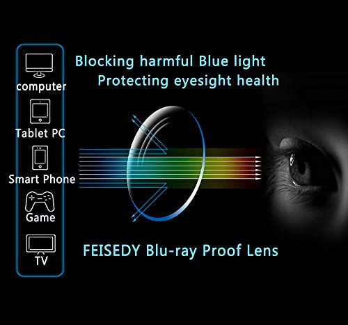 FEISEDY Women Mens Blue Light blocking Reader Glasses Frame B2497