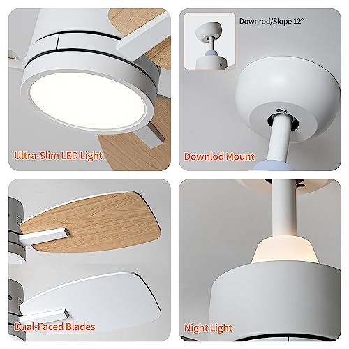 TALOYA Small Ceiling Fans with Lights and Backlight, 32 inch Ceiling Fan with Remote Control, Quiet Reversible DC Motor, 5 CCT Seleactable Modern Ceiling Fans for Bedroom Dining Room Patio White