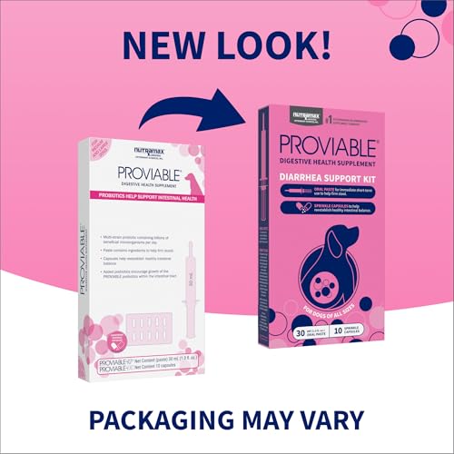 Proviable Digestive Health Supplement Kit with Multi-Strain Probiotics and Prebiotics for Medium to Large Dogs - with 7 Strains of Bacteria, 30 mL Paste and 10 Capsules