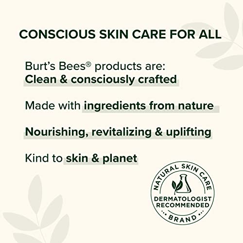 Burt's Bees Lip Balm Stocking Stuffers, Moisturizing Lip Care Christmas Gifts, Tropical - Pineapple, Berry Agua Fresca, Dragon Fruit Lemon and Coconut and Pear, Natural Origin Treatment (4-Pack)