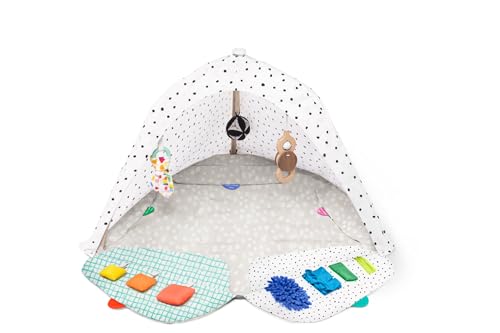 LOVEVERY | The Play Gym | Award Winning For Baby , Stage-Based Developmental Activity Gym & Play Mat for Baby to Toddler