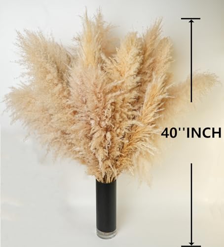200PCS Dried Flower Bouquet – Pampas Grass, Floral Decor for Home, Wedding, and Boho Style | Perfect for Vases, Fall, Spring, Summer, and Winter Arrangements