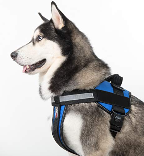 Dogline Blank Vest Patches – Removable Blank Patch 2-Pack with Reflective Printed Letters for Support Therapy Dog Vest Harness Collar or Leash X-Small