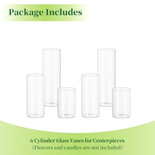 Hewory Glass Cylinder Vases Set of 6, Tall Clear Vase for Centerpieces, Glass Hurricane Candle Holders for Pillar Floating Candles, Round Vases for Wedding Events Table Decor, 2.6” in Diameter