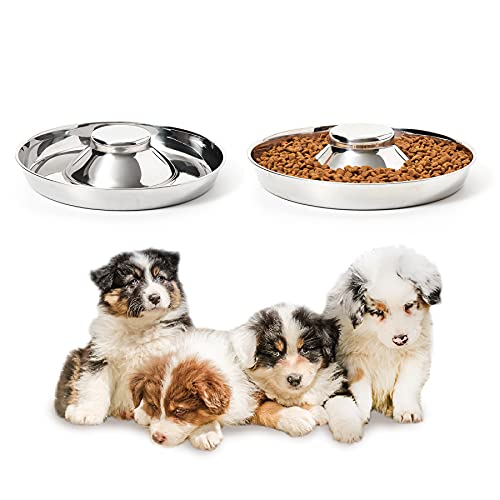 Thankspaw Stainless Steel Puppy Bowls, Set of 2 Puppy Feeder, Dog Food and Water Bowl, Food Feeding Weaning for Small Medium Large Dogs, Pets, S