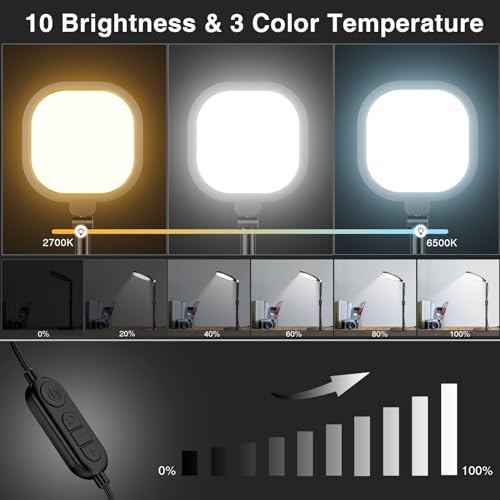 Zoom Lighting for Computer, Desk Lighting for Video Calls, 30 Light Models Adjustable Video Conference Light Webcam Lighting, Ring Light with Stand for Home Office CRI 97.8