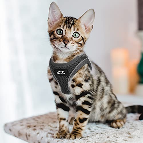 TwoEar Cat Harness Escape Proof, Soft Dog Vest Harness Adjustable, Breathable Mesh Step-in Puppy Walking Jacket Reflective Easy Control for Extral Small Pets for Outdoor Walking(XXXS, Black)