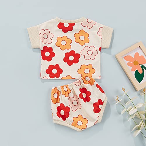 Baby Girls Outfit Set Summer Flower Printing Short Sleeve T-Shirt Tops + Elastic Waist Shorts Set (Floral White, 0-3 Months)