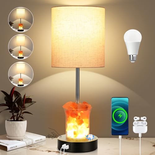 Dott Arts Touch Table Lamps with USB Ports, 3-Way Dimmable Bedside Nightstand Lamp with Salt Lamp,Table Lamps for Living Room Bedrooms Reading Room,Bulbs Included
