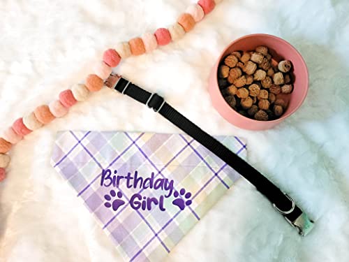 Birthday Girl Over the Collar Dog Bandana That Slips onto Their Existing Collar Size (X-Small)