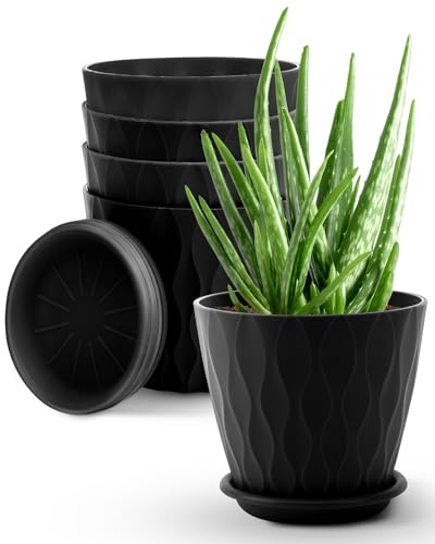 Goproauto 6 Inch Indoor Planter Pots with Drainage Hole and Tray Saucer,Flower Pots for Indoor Outdoor Garden Plants and Flowers, Multicolor, 5 Packs (Black)