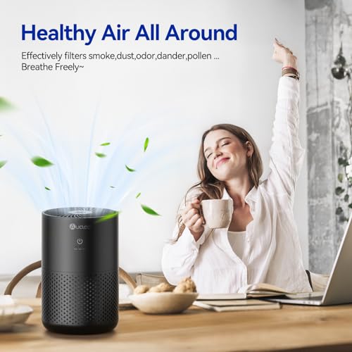Air Purifiers for Bedroom up to 588 Ft², 20dB Bedroom Air Purifier for Small Room Removes Dust Pets Hair Smoke Odor with Aromatherapy Function(Black)