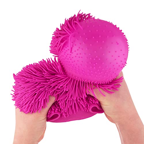 Expressions 1pc Shaggy Dog Squeeze Toy - Squishy Pet Dog - Novelty Fidget Toys, Anxiety Relief Items, Sensory Toys & Stress Relief Dog Toy, Fidgets for Adults