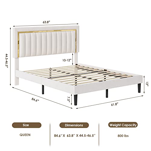 HITHOS Full Size Bed Frame with Adjustable Tufted Headboard, Velvet Upholstered Platform Bed Frame with Gold Trim, Heavy Duty Mattress Foundation with Steel Frame, Easy-Assembly Slats (Black, Full)