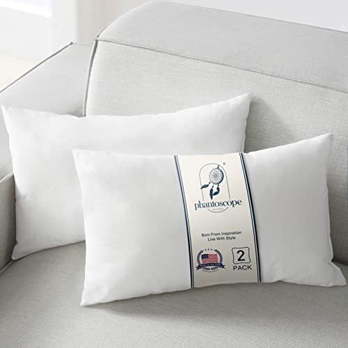 Phantoscope Pillow Inserts, 100% Virgin Fiber Hypoallergenic Polyester Throw Pillow Inserts, Square Pillows for Couch, Sofa, Bed, 12x20 Inch (Pack of 2)