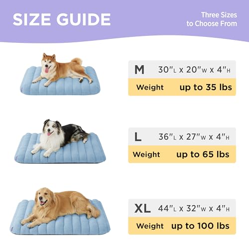 Lesure 4 Inch Thick Orthopedic Foam Dog Bed for Large Dogs, Waterproof Chic Flat Dog Bed with Removalbe Cover, Cute Fuzzy Pet Beds for Indoor Dogs (24" x 18", Blue