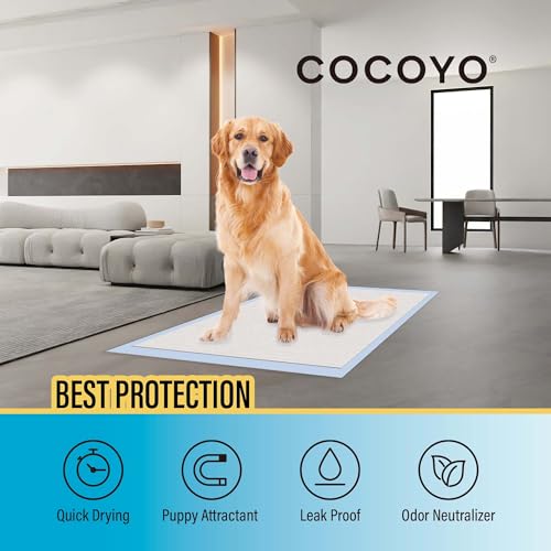 COCOYO Best Value Training Pads, 40Count, 28" by 34"