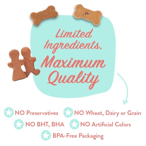 CRAFTED BY HUMANS LOVED BY DOGS Portland Pet Food Company Pumpkin Biscuit Dog Treats - Vegan, Gluten-Free, All Natural, Grain-Free, Human-Grade Ingredients, Made in The USA - 1-Pack (5 oz)