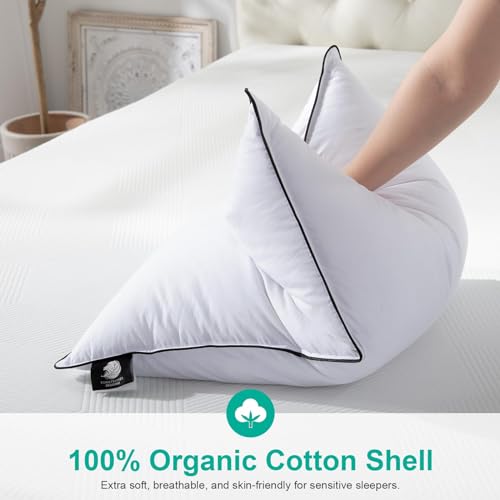 APSMILE Medium Firm Feather Down Pillows Standard Size Pack of 1, Luxury Goose Feather Pillow for Sleeping, 600TC/DM Organic Cotton Cover Hotel Collection Bed Pillows (White, 20"x26")